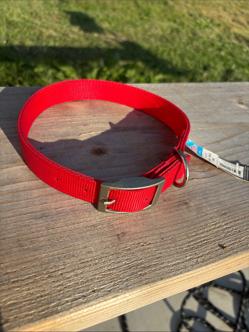 Retriever Dog Collar with Metal Buckle - Large 1”x22”